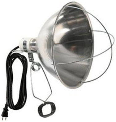 BROODER LIGHT 10 INCAND 8 CORD 250 WATT