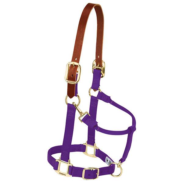 Weaver Leather Breakaway Original Adjustable Chin And Throat Snap Halter Average Purple 1"