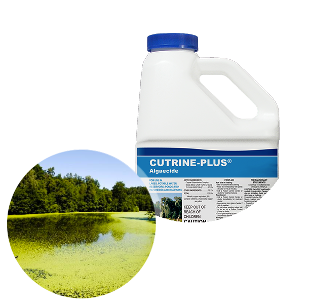 Applied Biochemists Cutrine-Plus Liquid Algaecide/Herbicide, 1 Gal.
