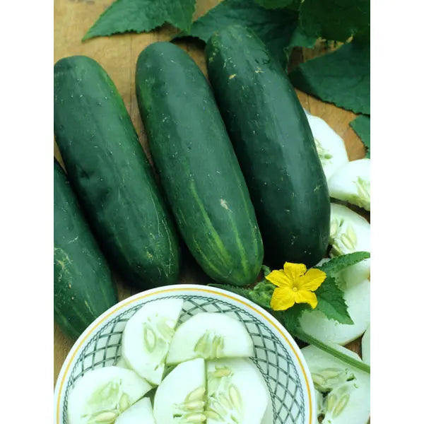Southern States Seed Division Straight Eight Cucumber 1/2 oz
