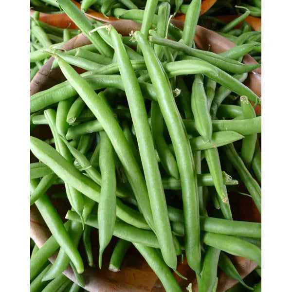 Southern States Seed Division White Half Runner Bean 1/2lb