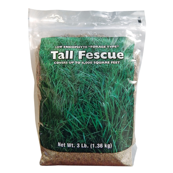 Southern States® Low Endophyte "Forage Type" In Tall Fescue
