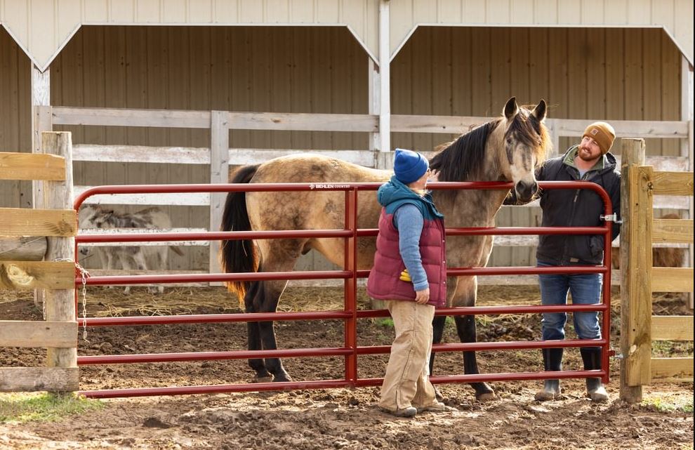 Behlen Country AgStar Gate (Formerly 2" 16 Gauge Heavy Duty Gate)