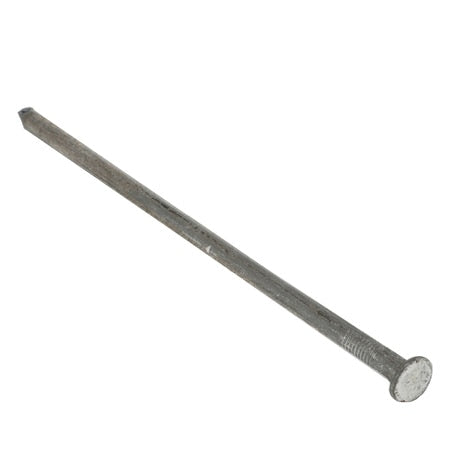 Zoro Tools Anchor Spikes, 3/8" x 10 In L