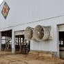 Stay ahead of fire hazards on your dairy farm with these steps