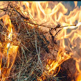 Nationwide: Prevent hay bale fires with year-round vigilance and action