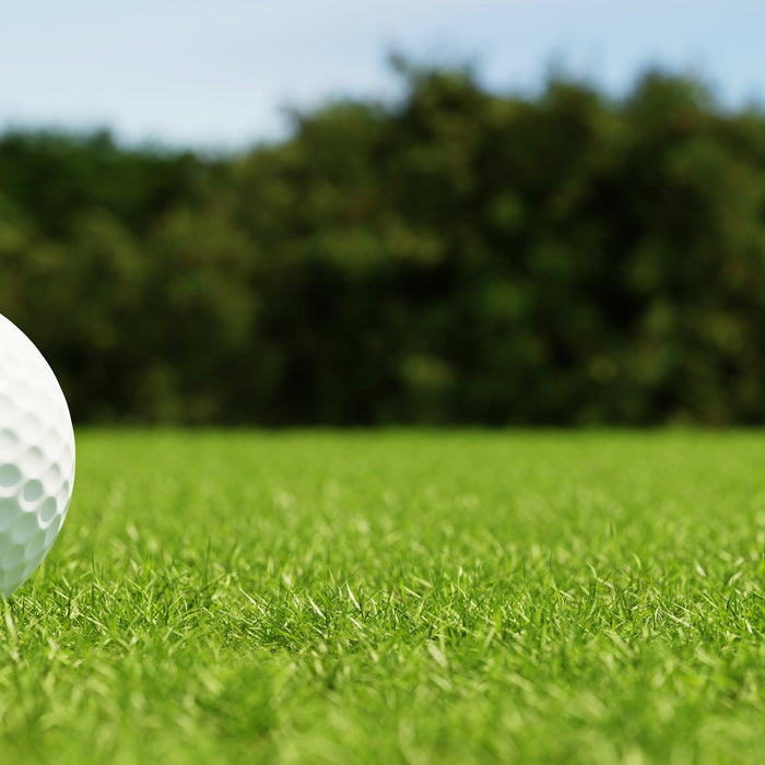 Spring Turf Diseases Start in the Fall: Why Your Fungicide Program Needs to Move Earlier
