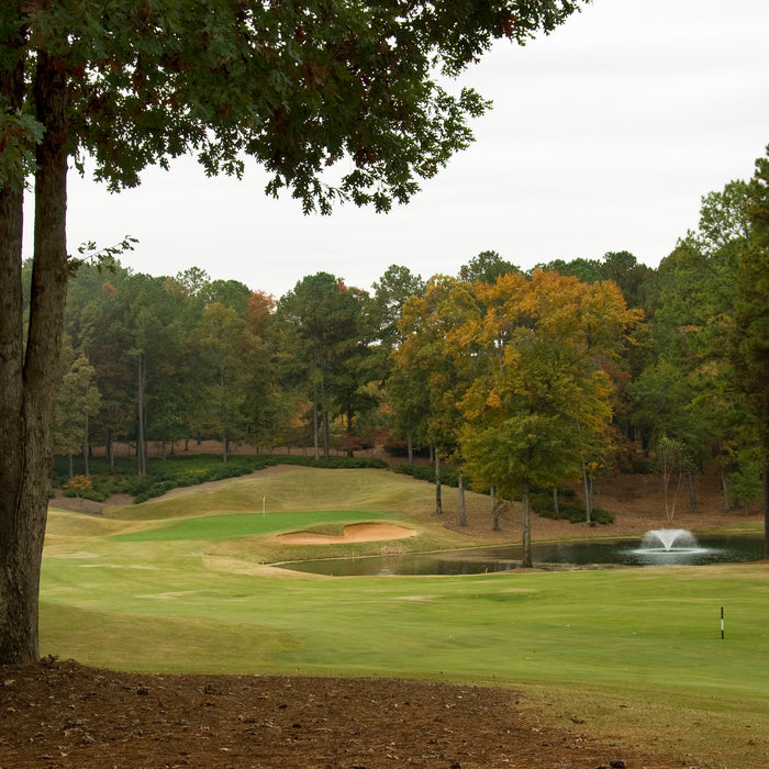 November Pre-Emergent Applications: Locking Down Winter Annual Control