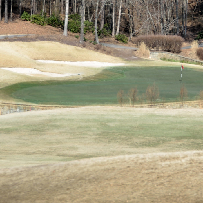 December Fertilizer in Turf: Winterization, Lime, and Soil Health