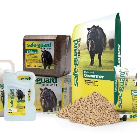 Deworm Cattle for Better Health and Performance