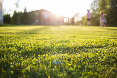 Lawn & Garden