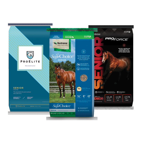 Get the nutrition you need for your senior horses at Southern States.