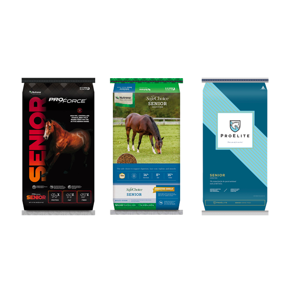 Enjoy savings for your senior horses