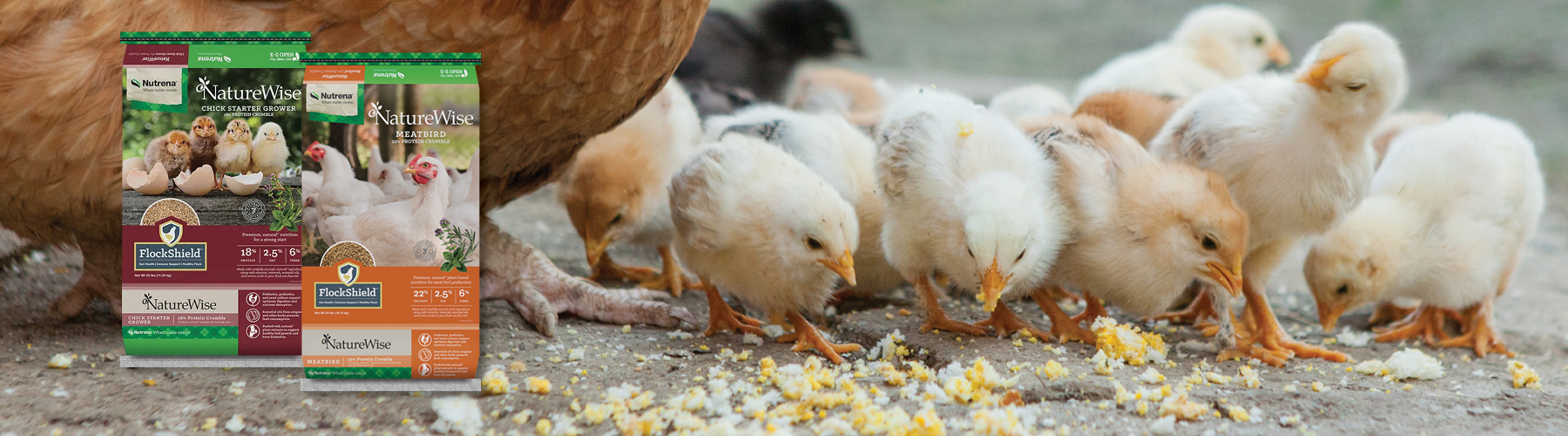 Creedmoor online potting bench