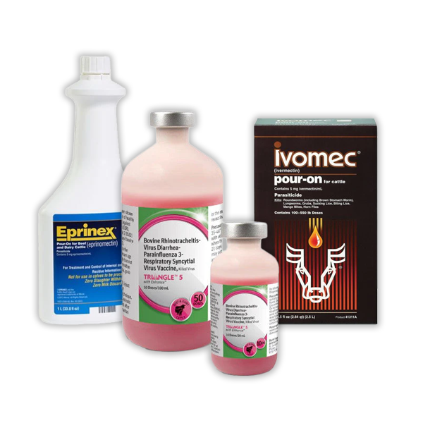 Stop by Southern States to take advantage of the Cattle First Rewards Spring Rebate.
