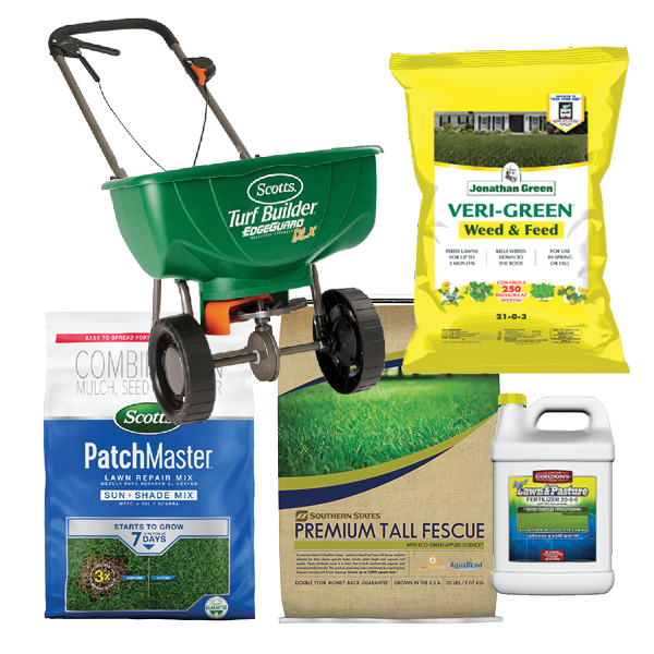 Fall is a great time to improve the health of your lawn!