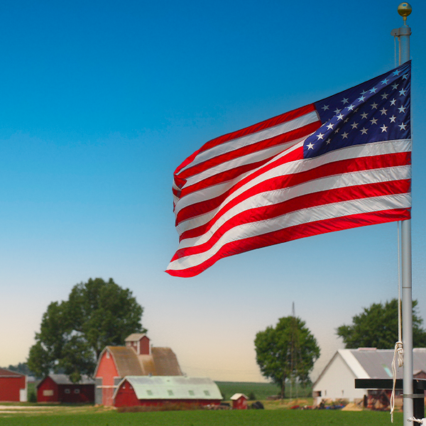 Honoring our heroes who made the ultimate sacrifice.
