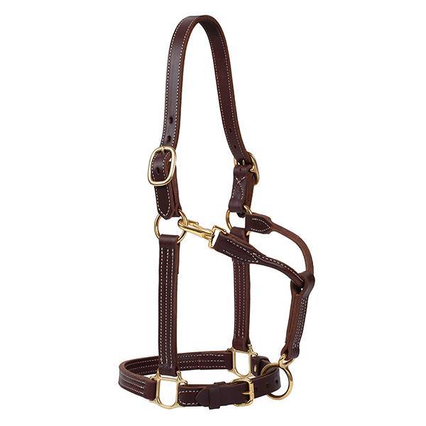 Weaver Equine Track Halter (Canyon Rose)