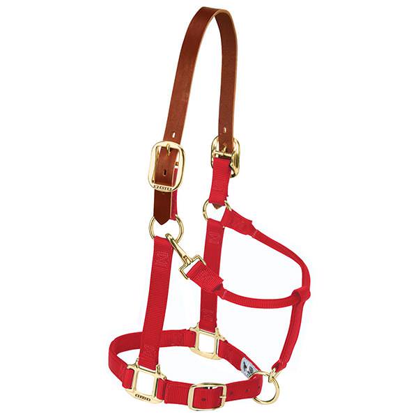 Weaver Leather Striped Padded Adjustable Chin And Throat Snap Halter Small Red 1" (1", Red)