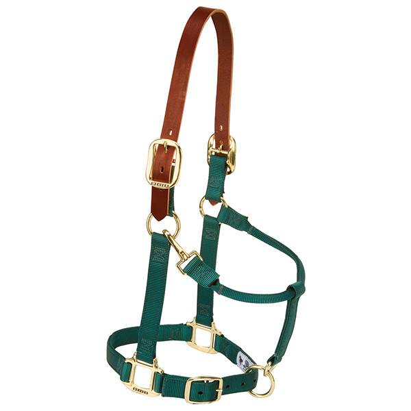 Weaver Leather Breakaway Original Adjustable Chin And Throat Snap Halter Average Green 1" (1", Green)