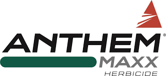 helmet maxx herbicide Anthem® MAXX Herbicide