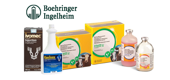 Boehringer Ingelheim Producer Rebates