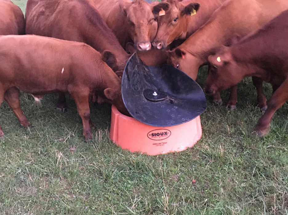 Sioux Steel Company Ground Mineral Feeder