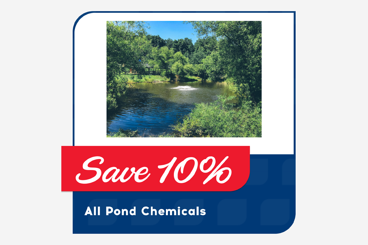 save 10% off