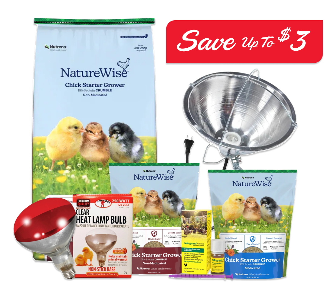 See us all month to save on the feed you need to give your flock a healthy start