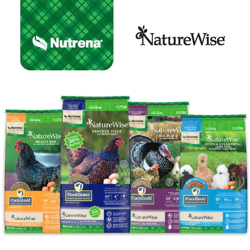 Help Feather Your Flock’s Nest