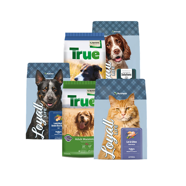 Save on Loyall Life & True