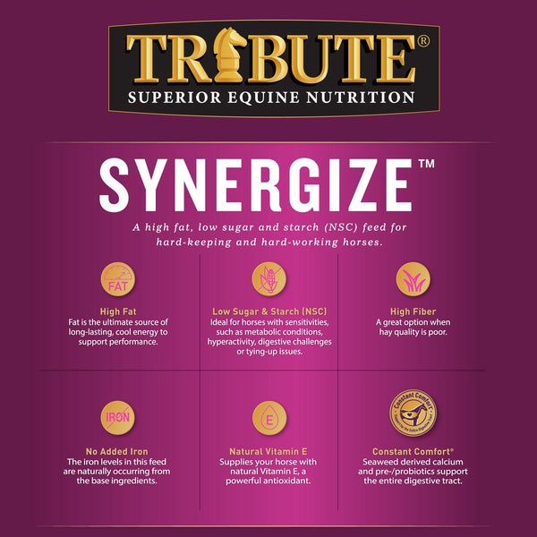 Tribute Synergize™ Pelleted Horse Feed