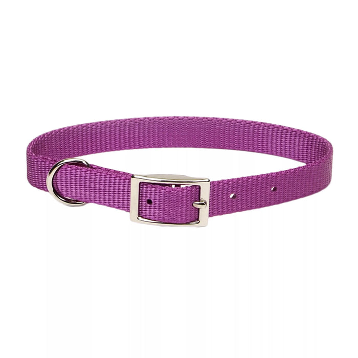 Coastal Pet Products Coastal Single-Ply Dog Collar Orchid 3/4" x 18"