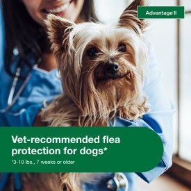 Advantage II Small Dog Vet-Recommended Flea Treatment & Prevention