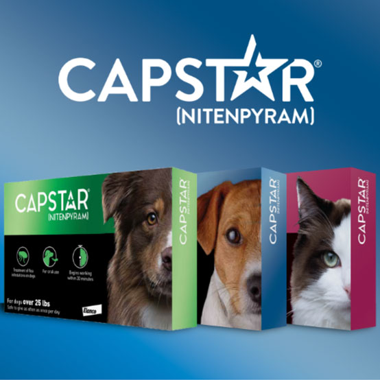 Capstar for Dogs Cats - Main Image