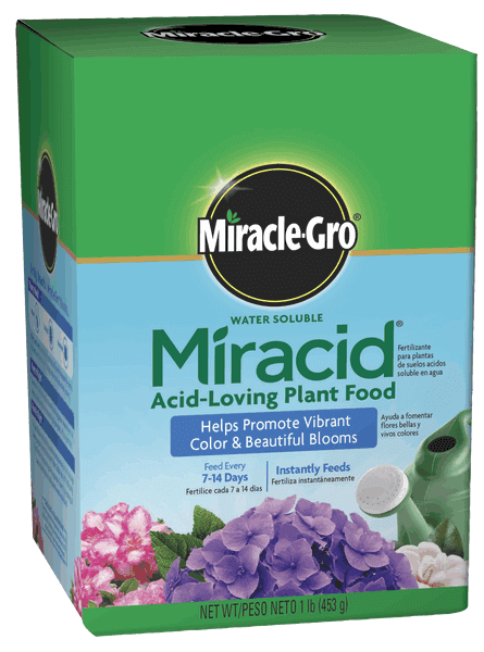 Miracle-Gro Water Soluble Miracid Acid-Loving Plant Food (1 lbs)