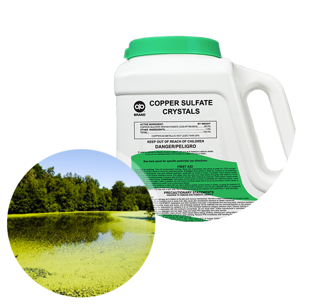 Applied Biochemists Copper Sulfate Crystals