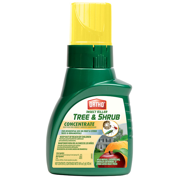 ambush tree and garden insect killer Ortho Insect Killer Tree & Shrub Concentrate, 16 oz