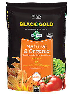 Black Wonder 5000 Soil Builder