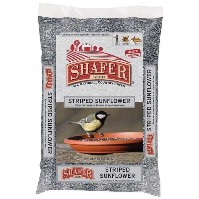 striped sunflower seeds for planting Shafer Striped Sunflower Seed