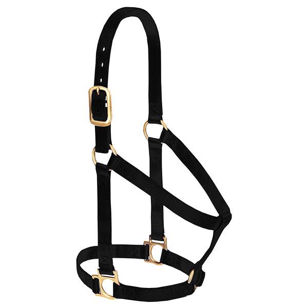 Weaver Leather Basic Non-Adjustable Halter 1" Small Black