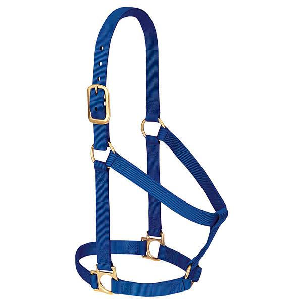 Weaver Leather Basic Non-Adjustable Halter Average 1" Blue