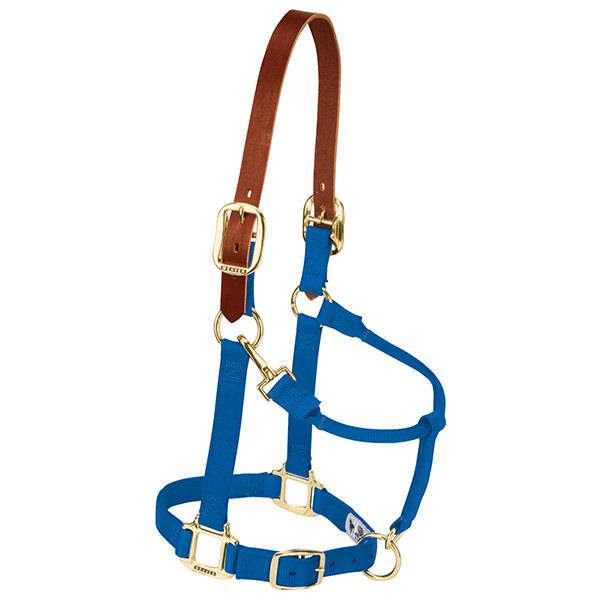 Weaver Leather Breakaway Original Adjustable Chin And Throat Snap Halter Average Blue 1"