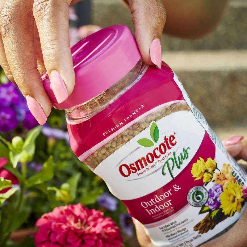 osmocote plus outdoor & indoor plant food Osmocote 8 Lb. Smart-Release Plant Food Plus Outdoor & Indoor