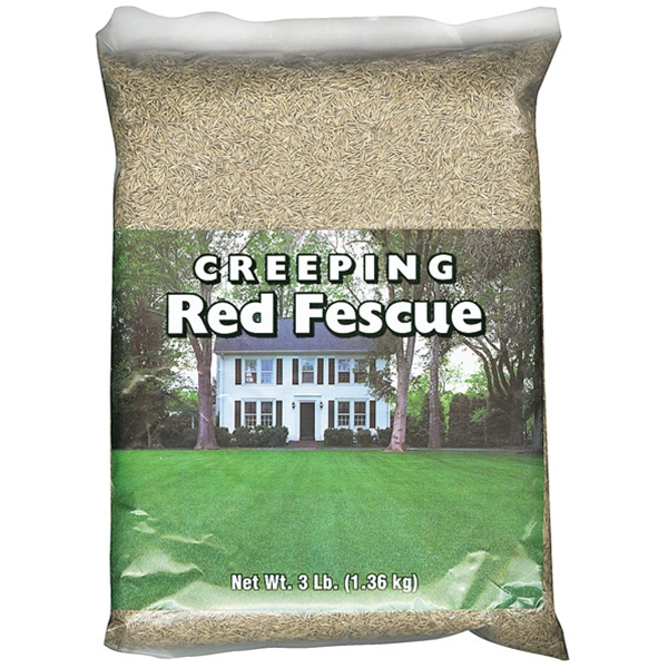 Creeping Red Fine Fescue Grass Seed - Premium Oregon-Grown Lawn Seed (Choose Your Size!)