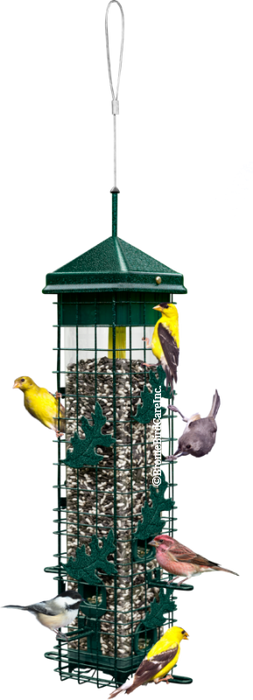 Brome Bird Care Squirrel Solution200 Squirrel-proof Bird Feeder w/6 Feeding Ports, 3.4-pound Seed Saver