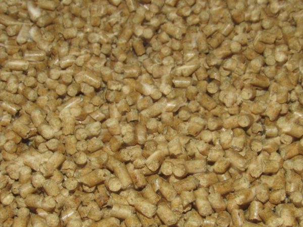 Queen Horse Bedding Of Texas Pine Pellet Bedding