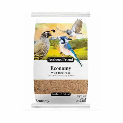 Who Sells Bird Seed near Me: Top Local Stores You Must Visit
