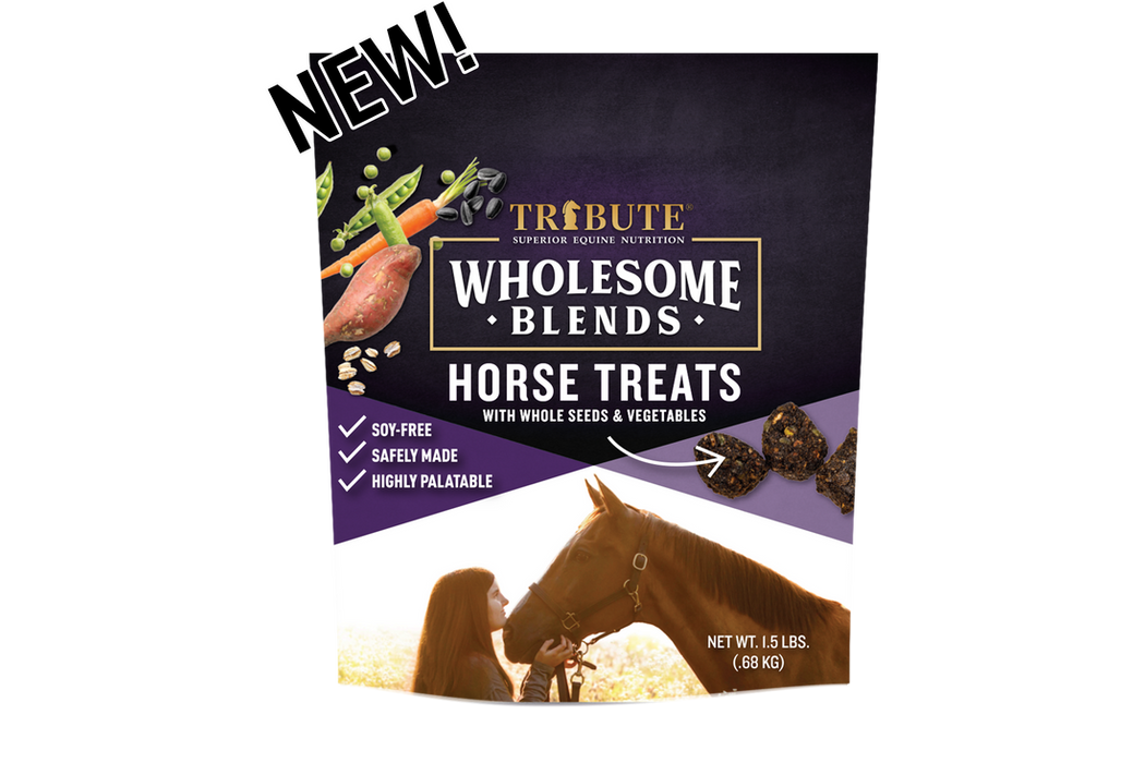 Tribute Wholesome Blends® Horse Treats