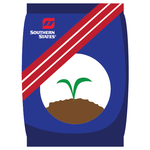 southern states garden seeds BUSH BEAN BLUE LAKE 274 1 lb (EACH)